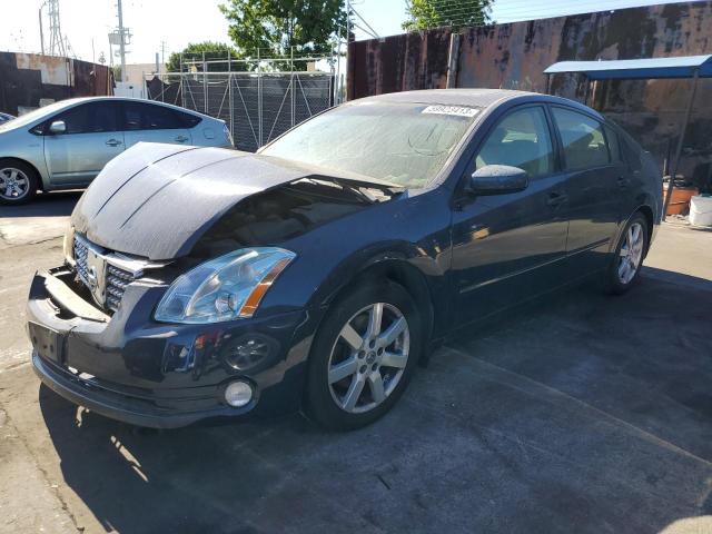 NISSAN MAXIMA SE 2004 1n4ba41e64c882891