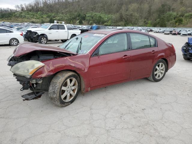 NISSAN MAXIMA 2004 1n4ba41e64c885578