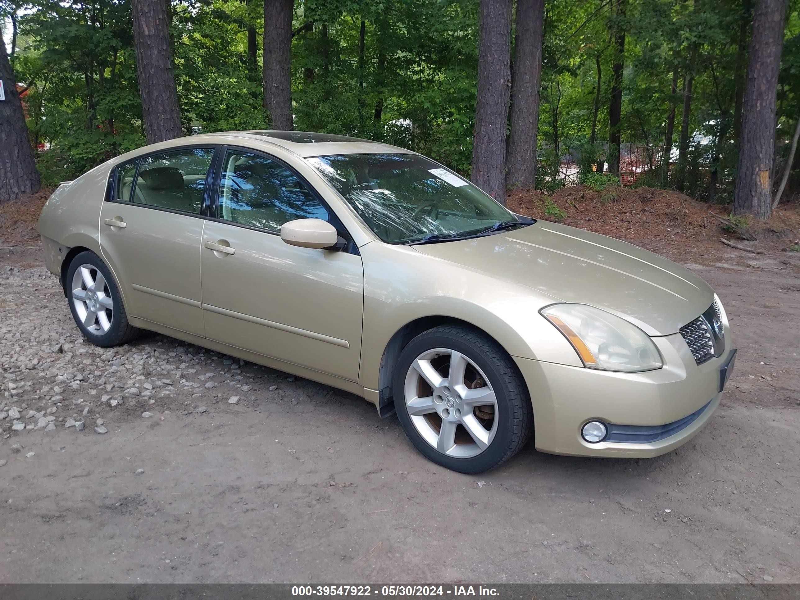 NISSAN MAXIMA 2004 1n4ba41e64c888531