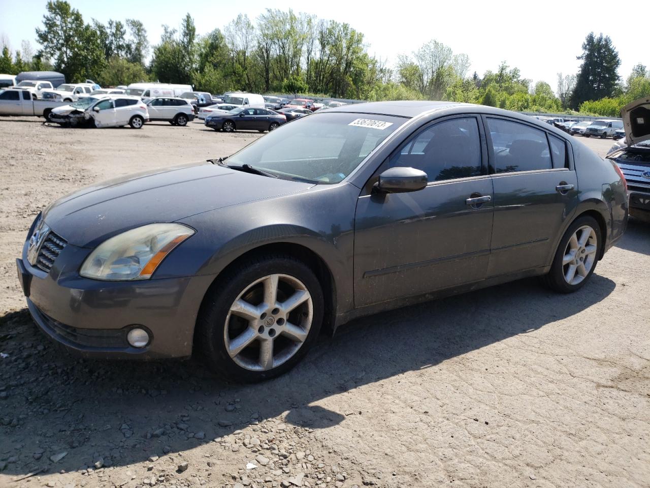 NISSAN MAXIMA 2004 1n4ba41e64c900015