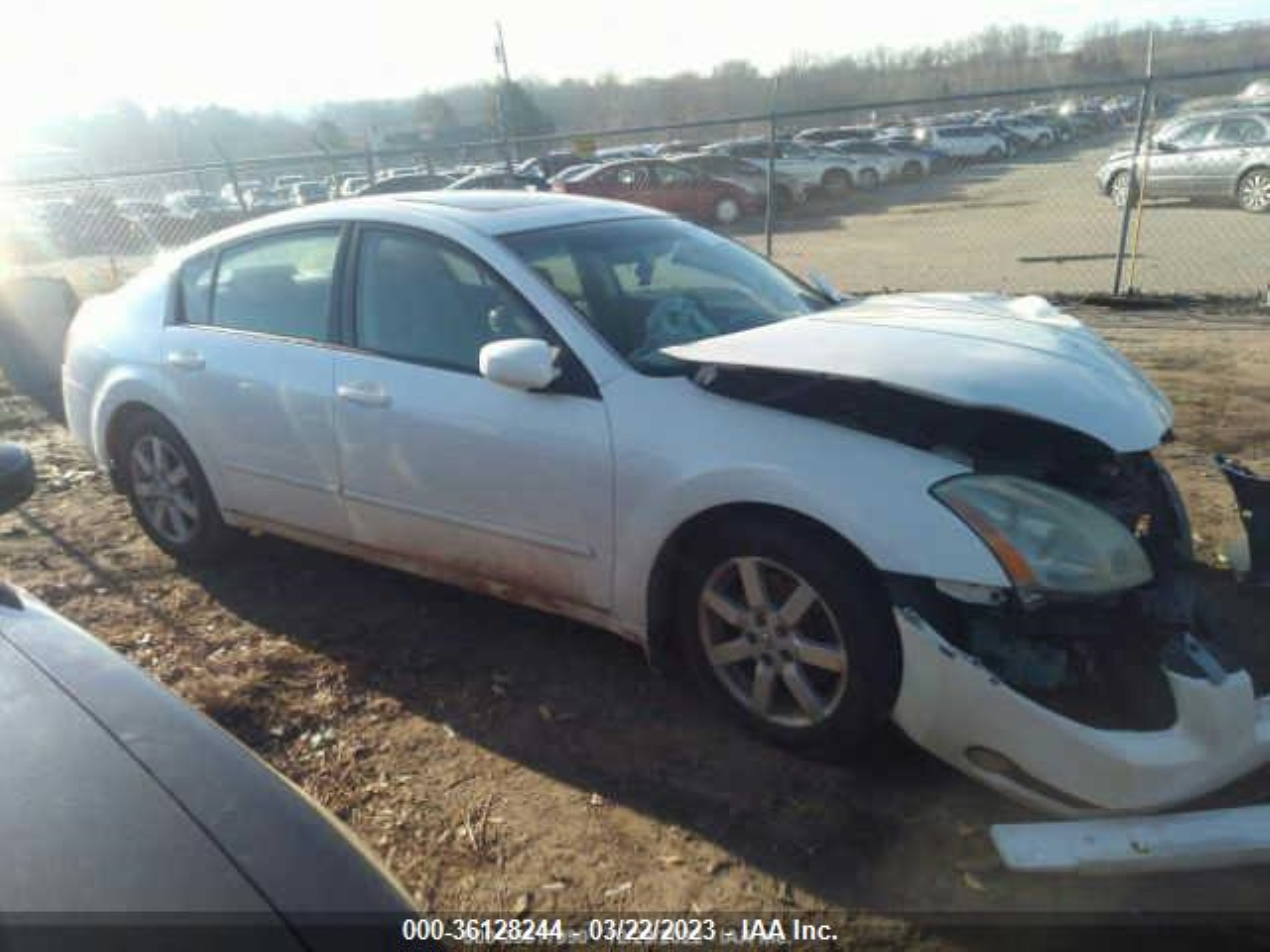 NISSAN MAXIMA 2004 1n4ba41e64c906042