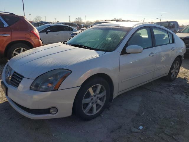 NISSAN MAXIMA 2004 1n4ba41e64c928509