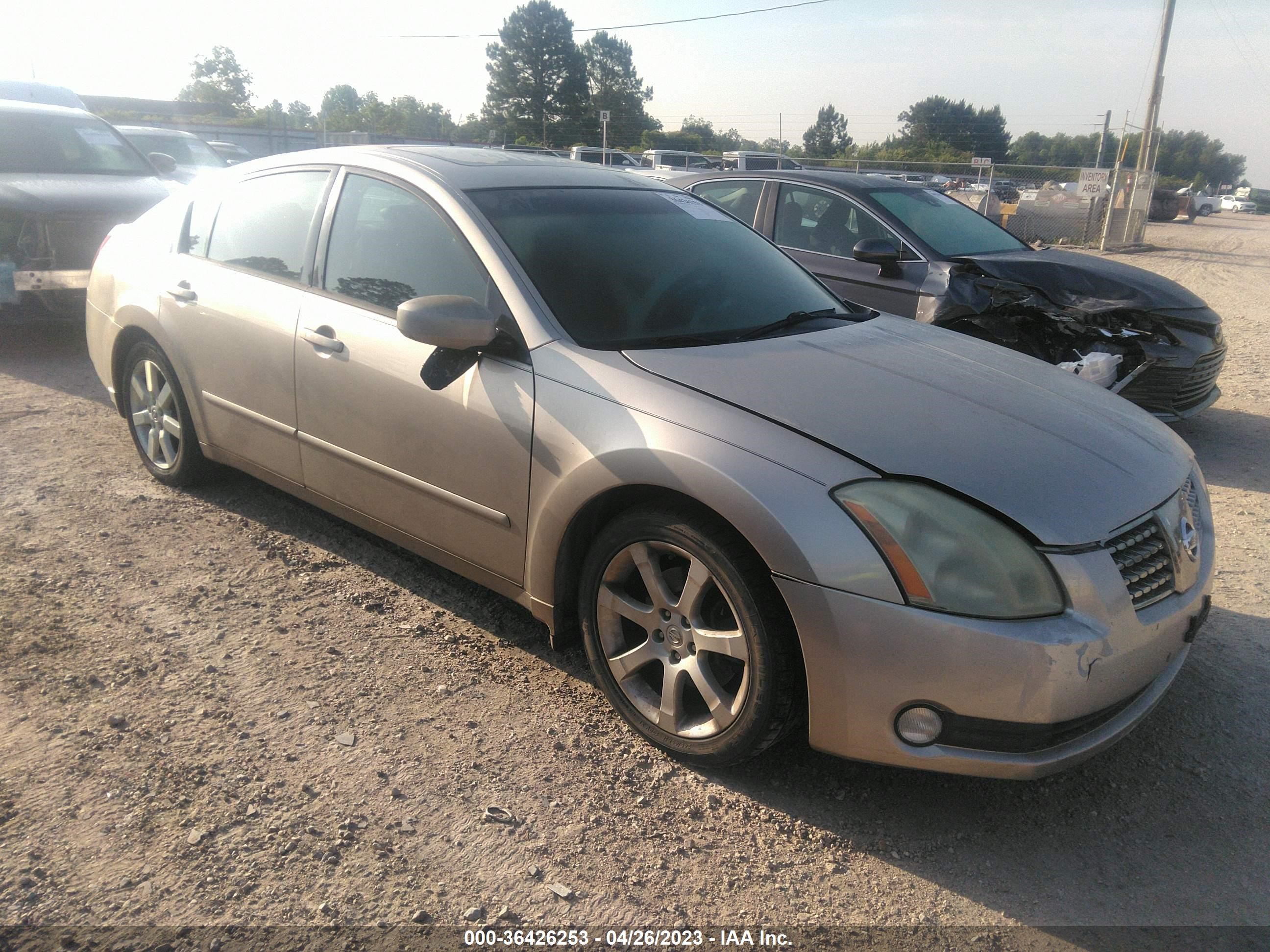 NISSAN MAXIMA 2005 1n4ba41e65c832512