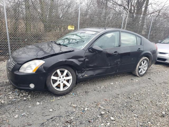 NISSAN MAXIMA 2005 1n4ba41e65c837113