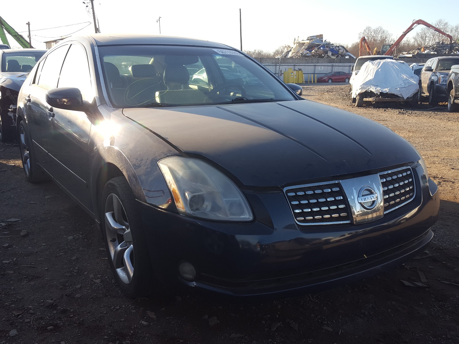 NISSAN MAXIMA SE 2005 1n4ba41e65c852730