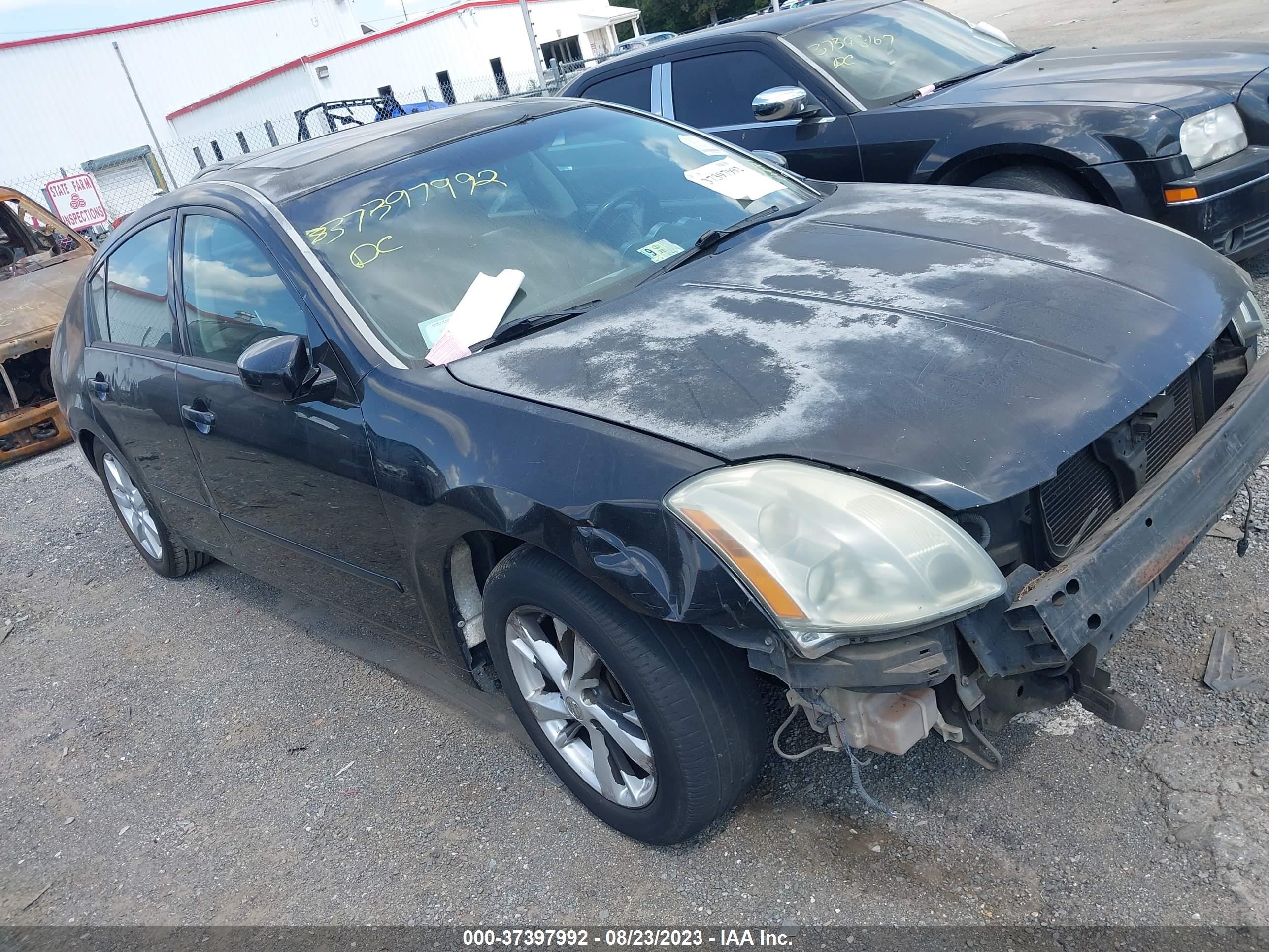 NISSAN MAXIMA 2005 1n4ba41e65c854039