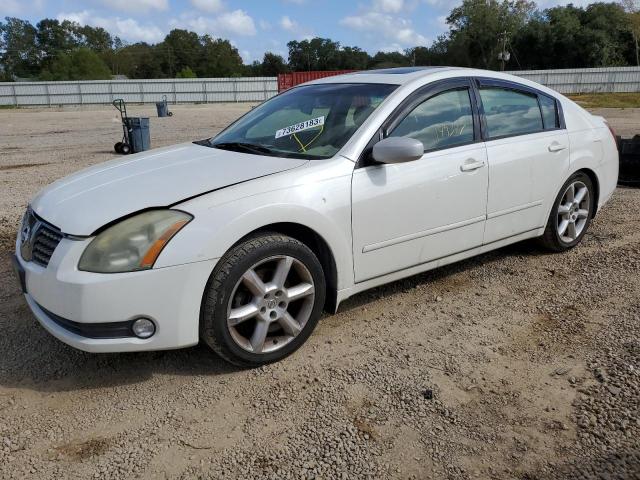 NISSAN MAXIMA 2005 1n4ba41e65c865946