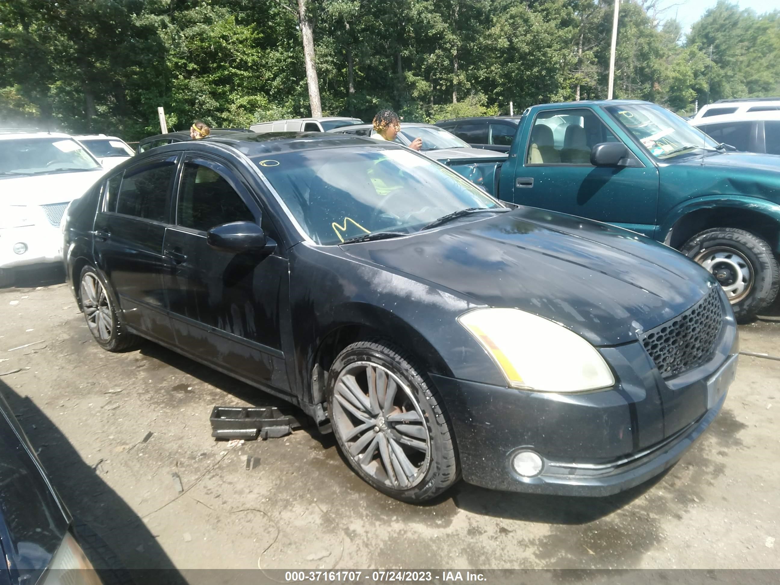 NISSAN MAXIMA 2006 1n4ba41e66c817560