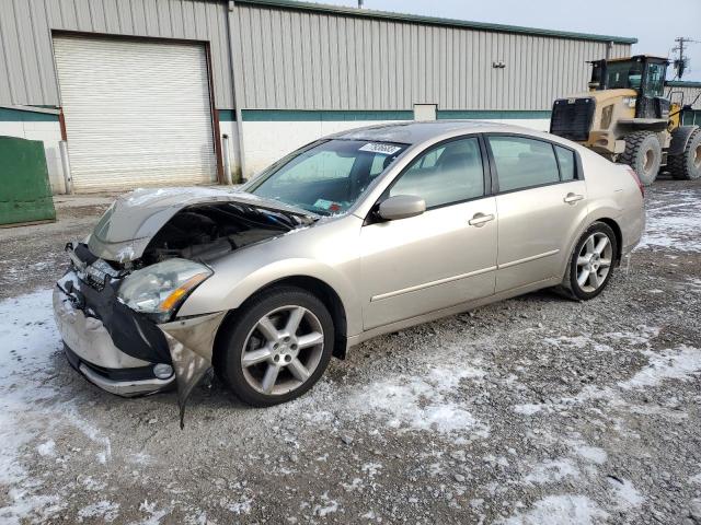 NISSAN MAXIMA 2006 1n4ba41e66c841860