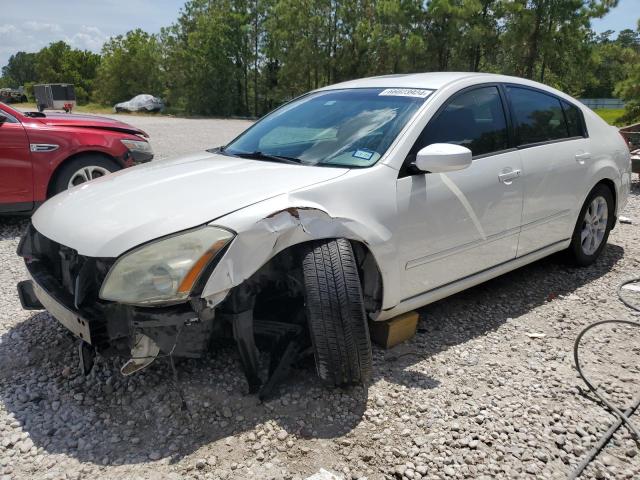 NISSAN MAXIMA SE 2008 1n4ba41e68c800440