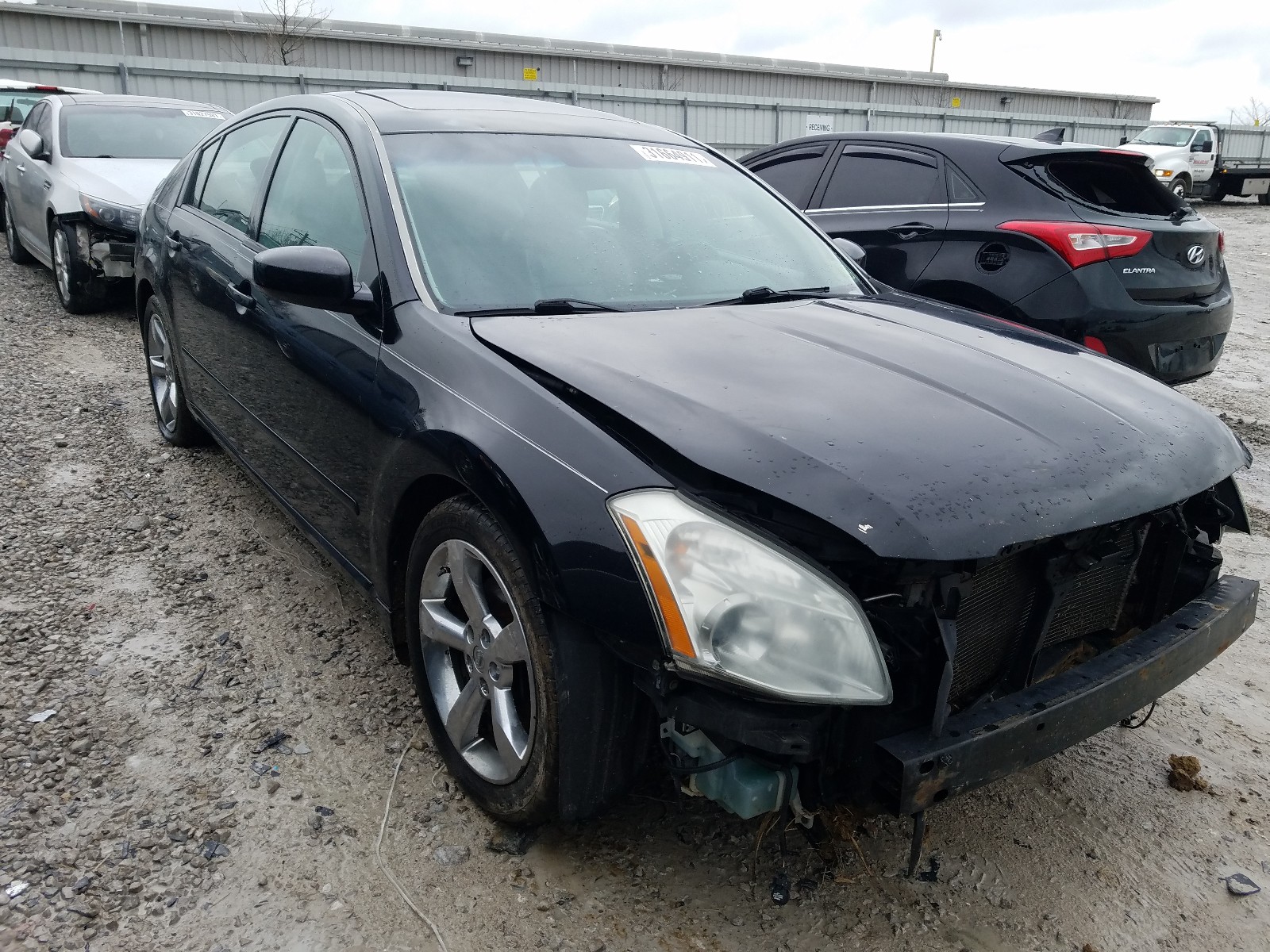 NISSAN MAXIMA SE 2008 1n4ba41e68c806013