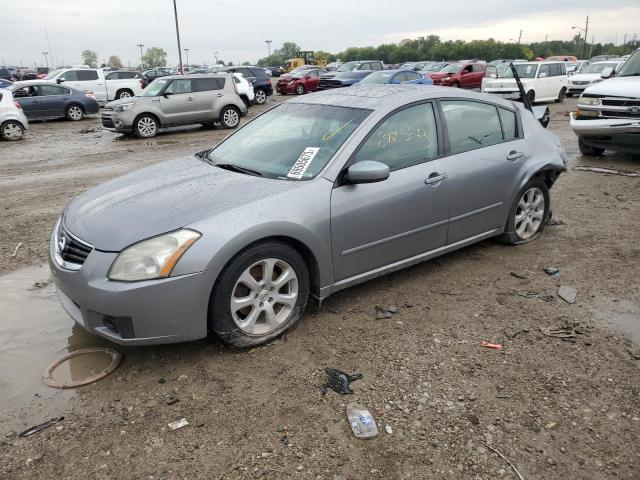 NISSAN MAXIMA SE 2008 1n4ba41e68c830960