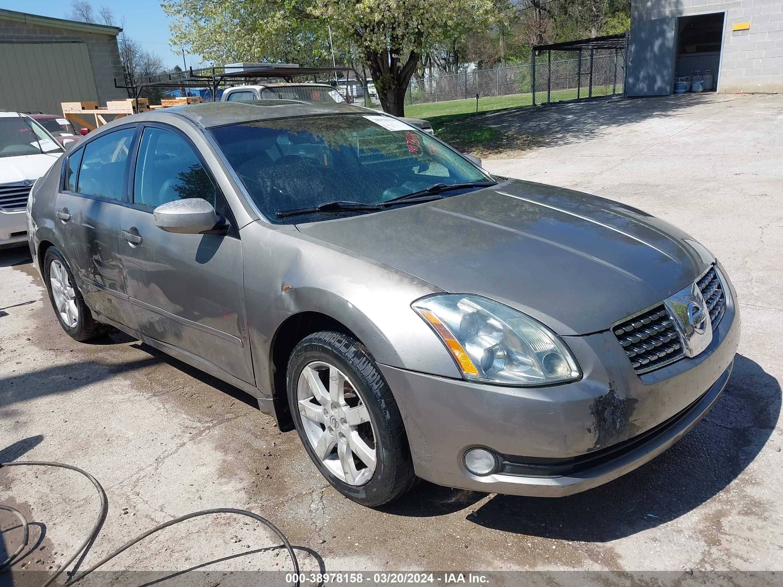 NISSAN MAXIMA 2004 1n4ba41e74c861290