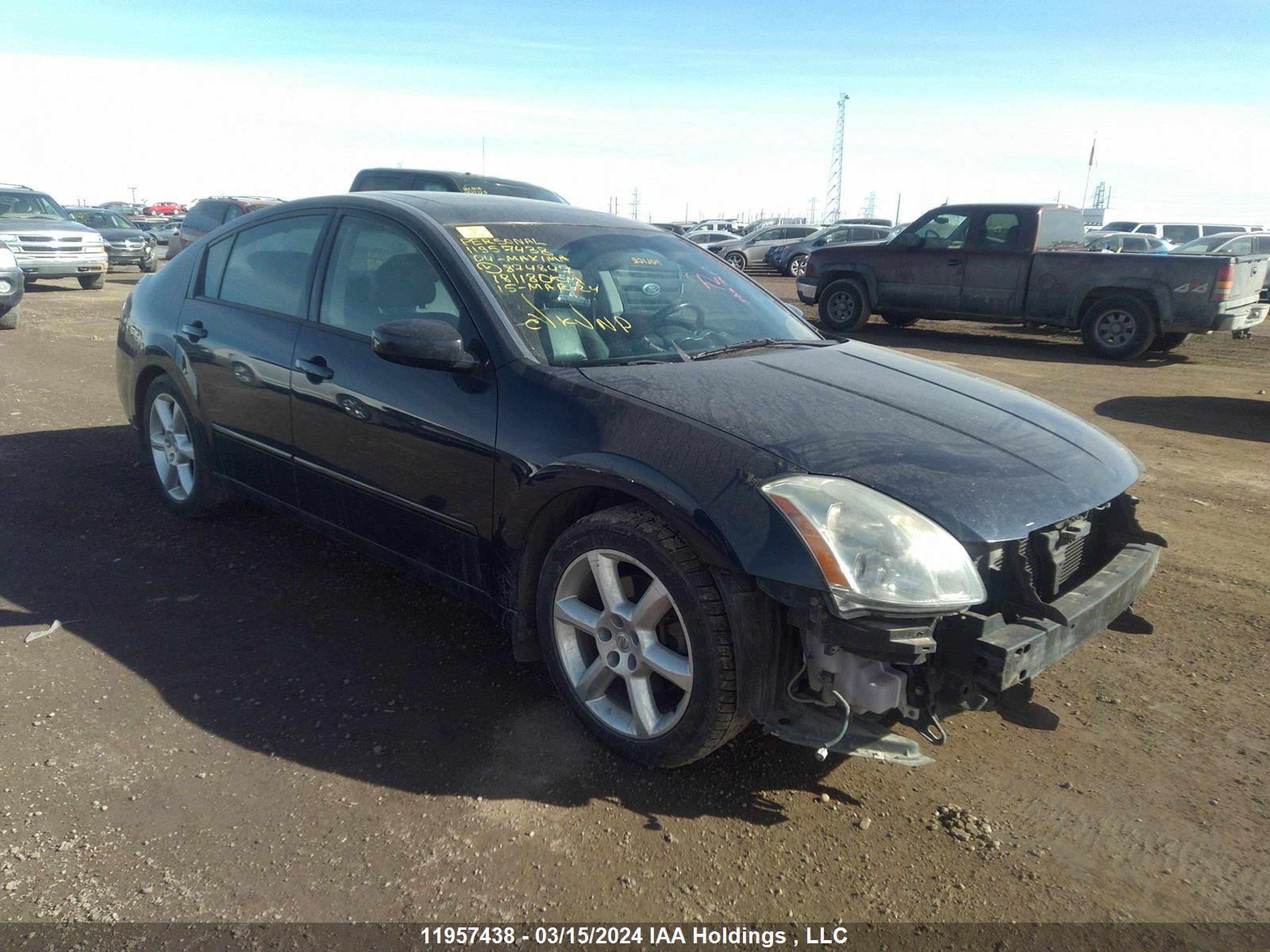 NISSAN MAXIMA 2004 1n4ba41e74c874847