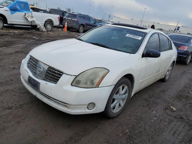 NISSAN MAXIMA 2004 1n4ba41e74c918944