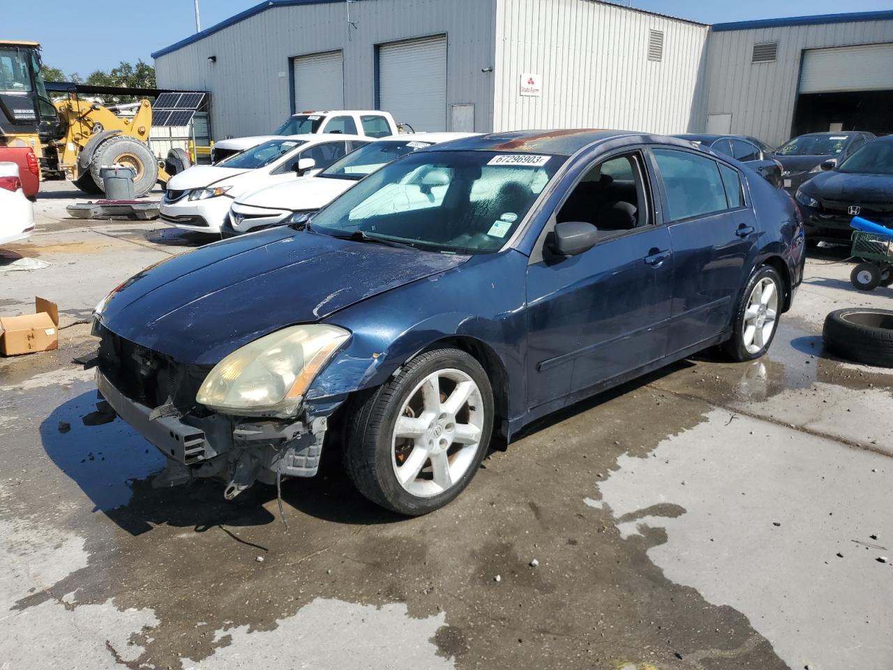 NISSAN MAXIMA 2006 1n4ba41e76c806499