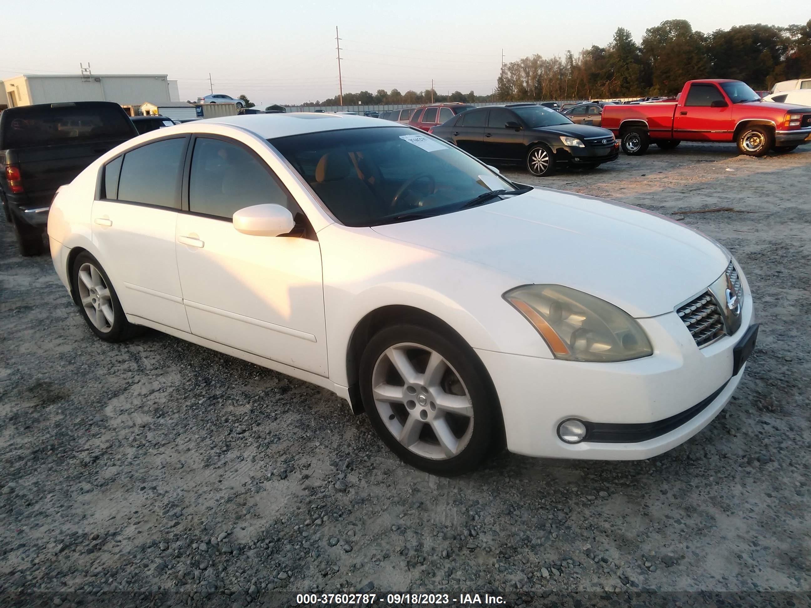 NISSAN MAXIMA 2006 1n4ba41e76c820791