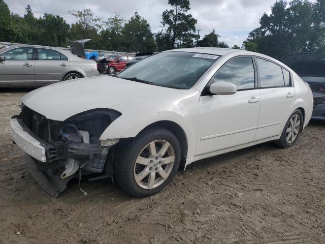 NISSAN MAXIMA SE 2006 1n4ba41e76c836814