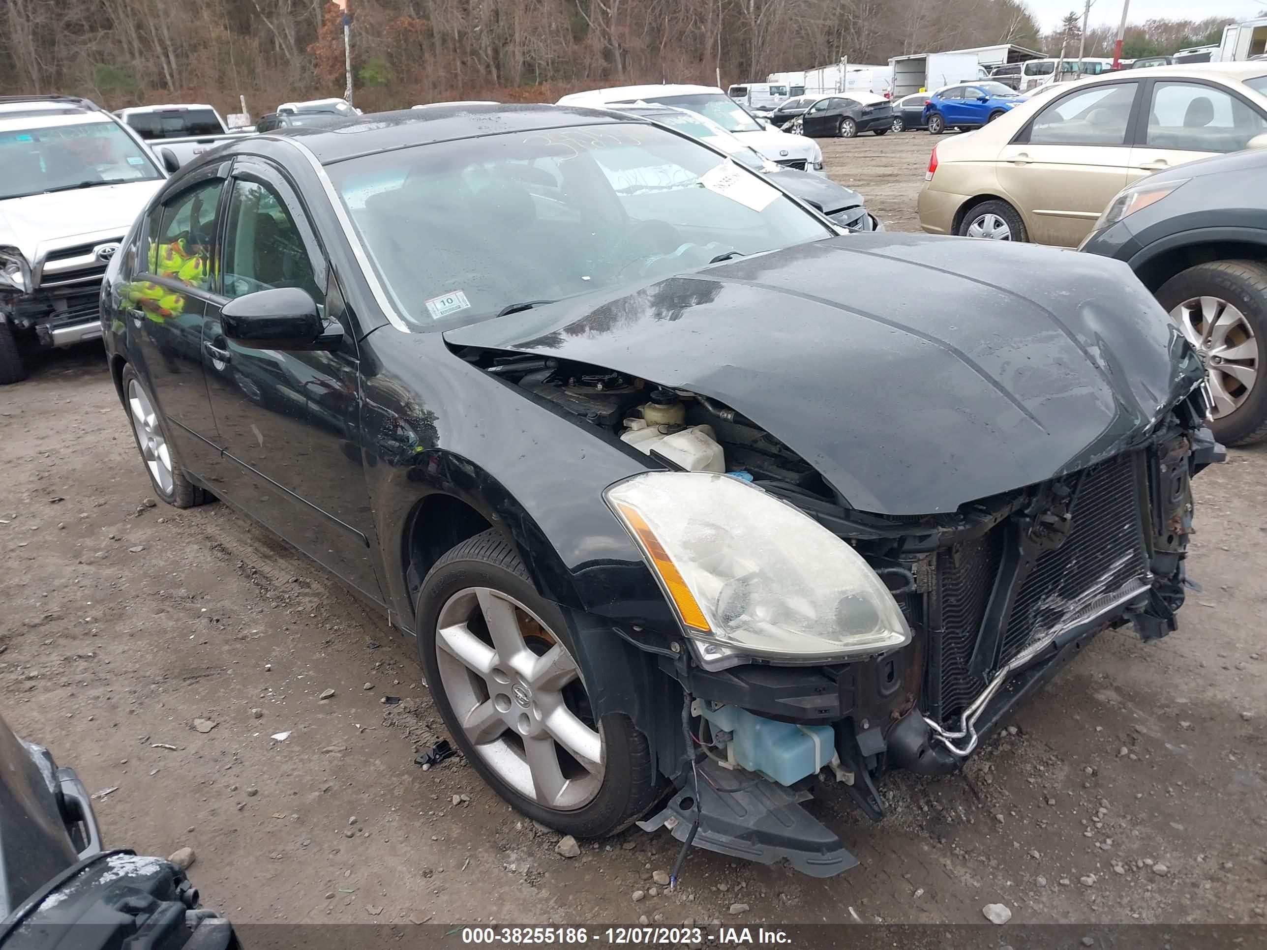 NISSAN MAXIMA 2006 1n4ba41e76c837736