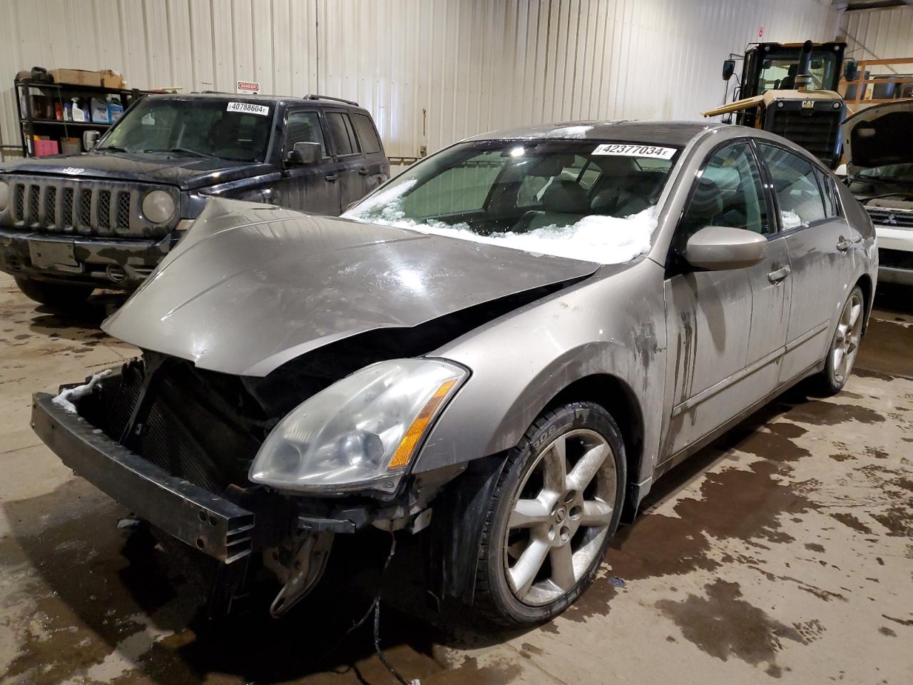 NISSAN MAXIMA 2006 1n4ba41e76c843620