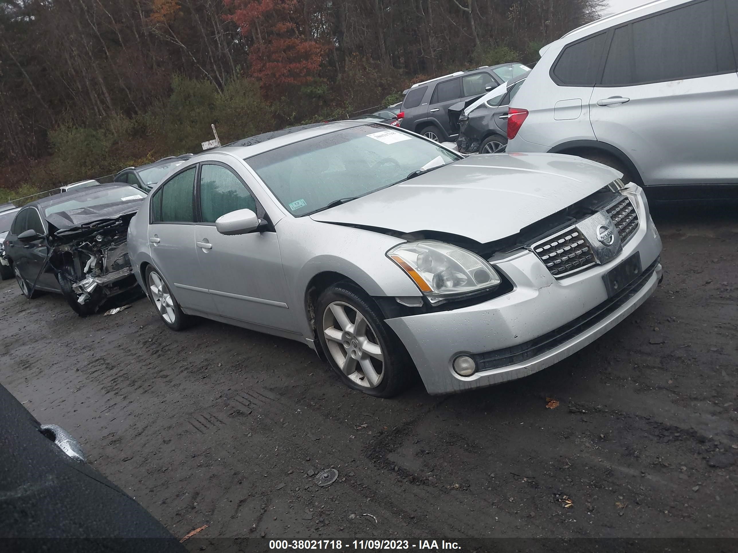 NISSAN MAXIMA 2006 1n4ba41e76c858831