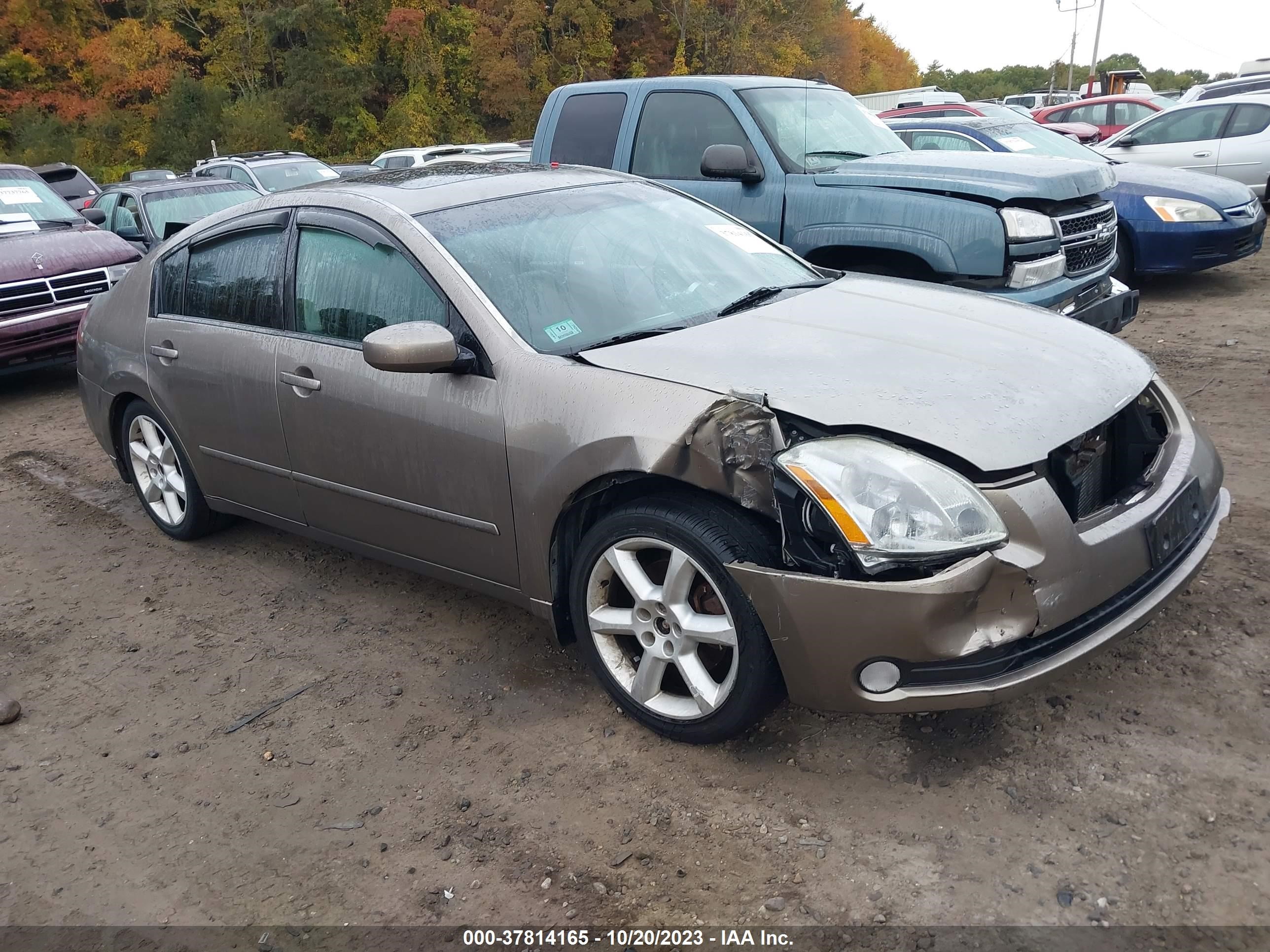 NISSAN MAXIMA 2006 1n4ba41e76c858862