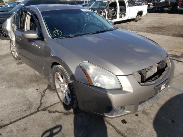 NISSAN MAXIMA SE 2007 1n4ba41e77c846518