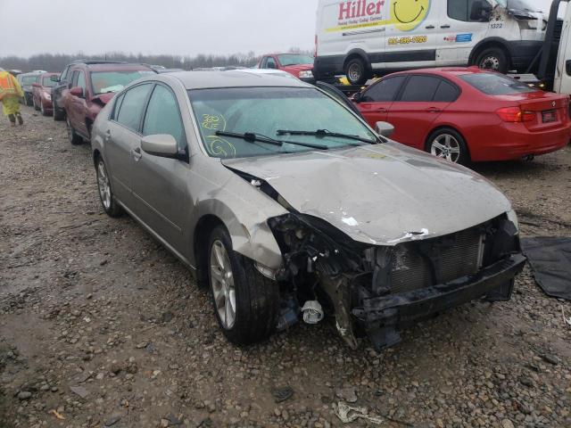 NISSAN MAXIMA SE 2008 1n4ba41e78c815741