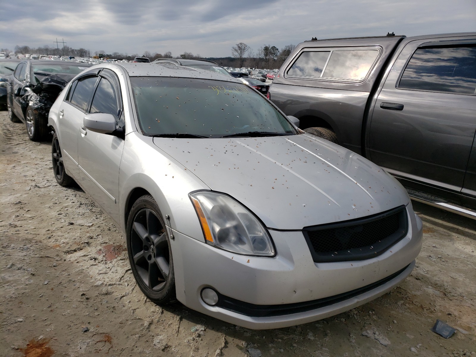 NISSAN MAXIMA SE 2004 1n4ba41e84c800109