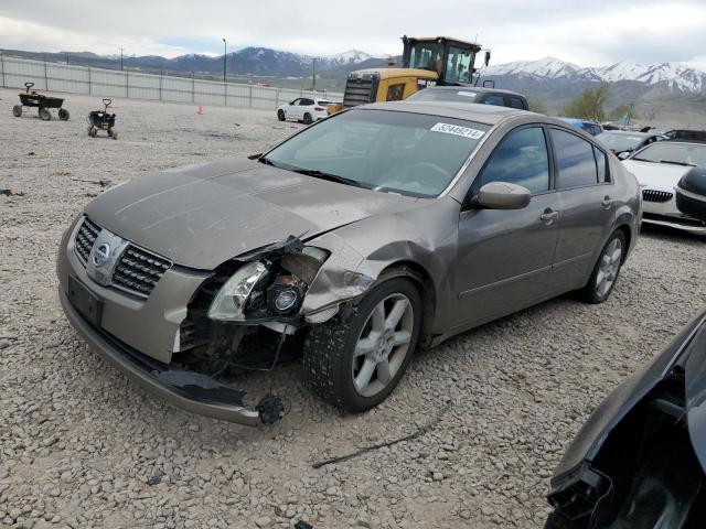 NISSAN MAXIMA 2004 1n4ba41e84c815872