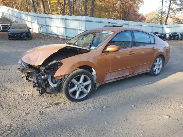 NISSAN MAXIMA SE 2004 1n4ba41e84c823387