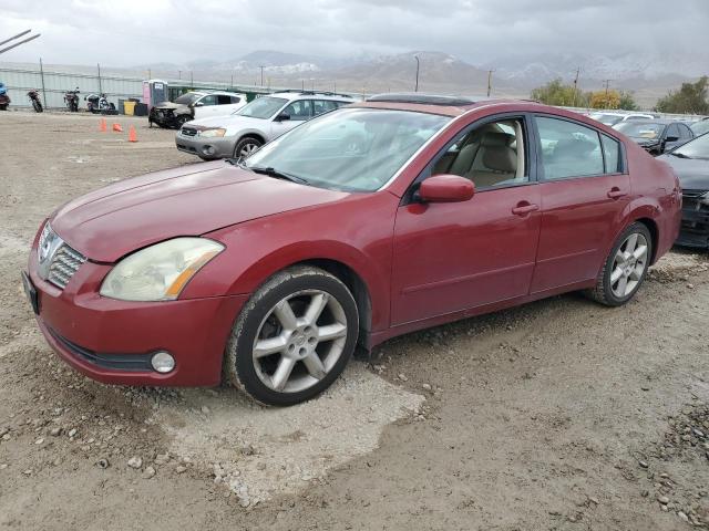 NISSAN MAXIMA SE 2004 1n4ba41e84c878406