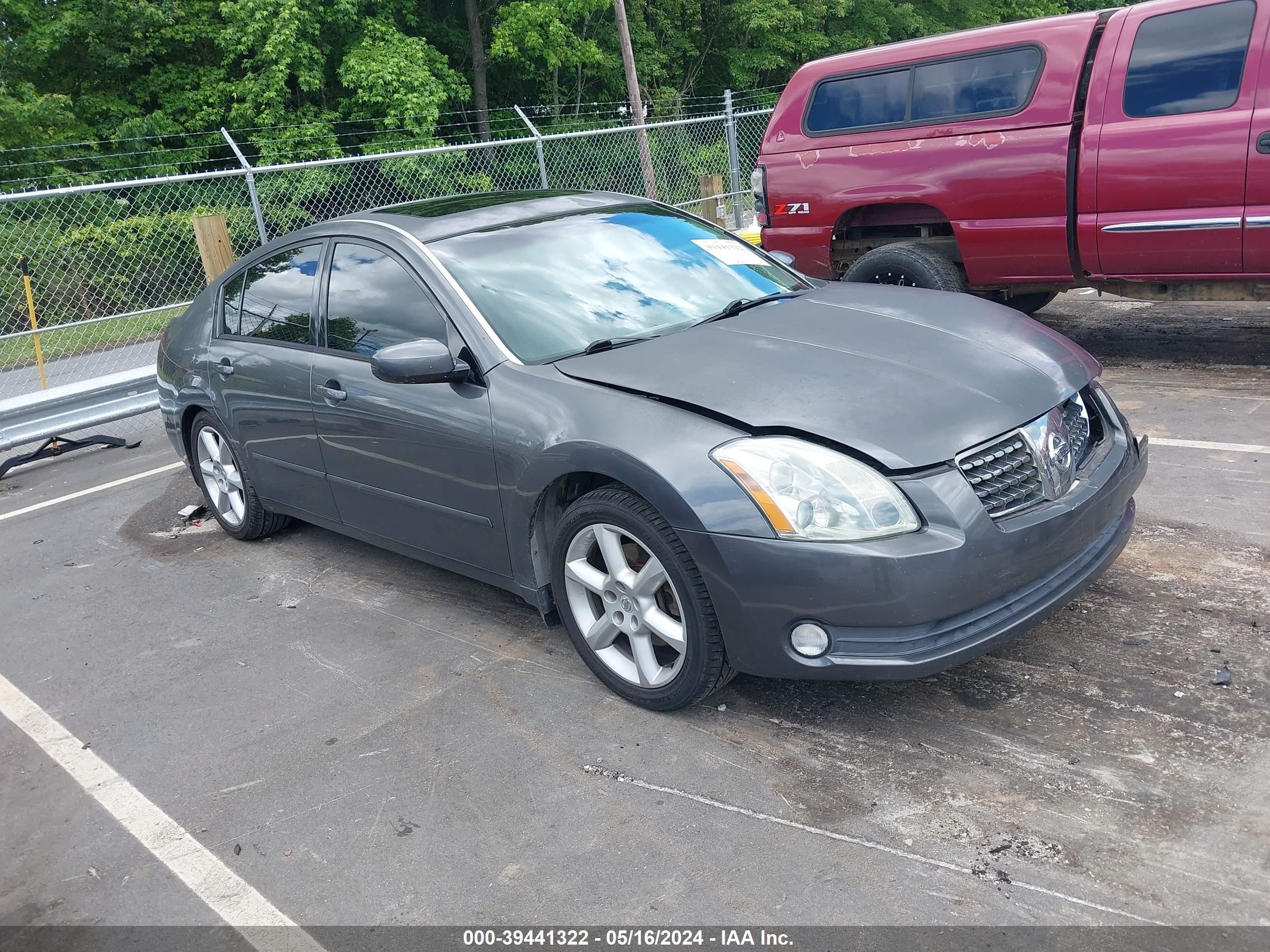 NISSAN MAXIMA 2005 1n4ba41e85c801410