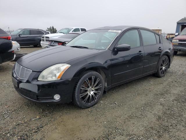 NISSAN MAXIMA SE 2005 1n4ba41e85c828817