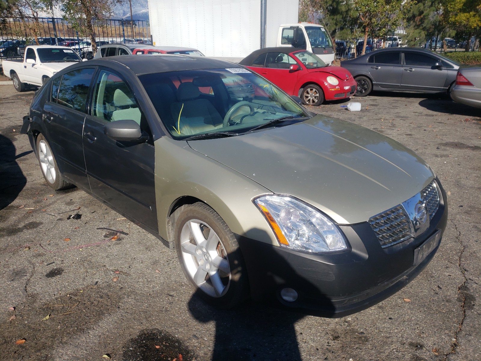 NISSAN MAXIMA SE 2005 1n4ba41e85c833712