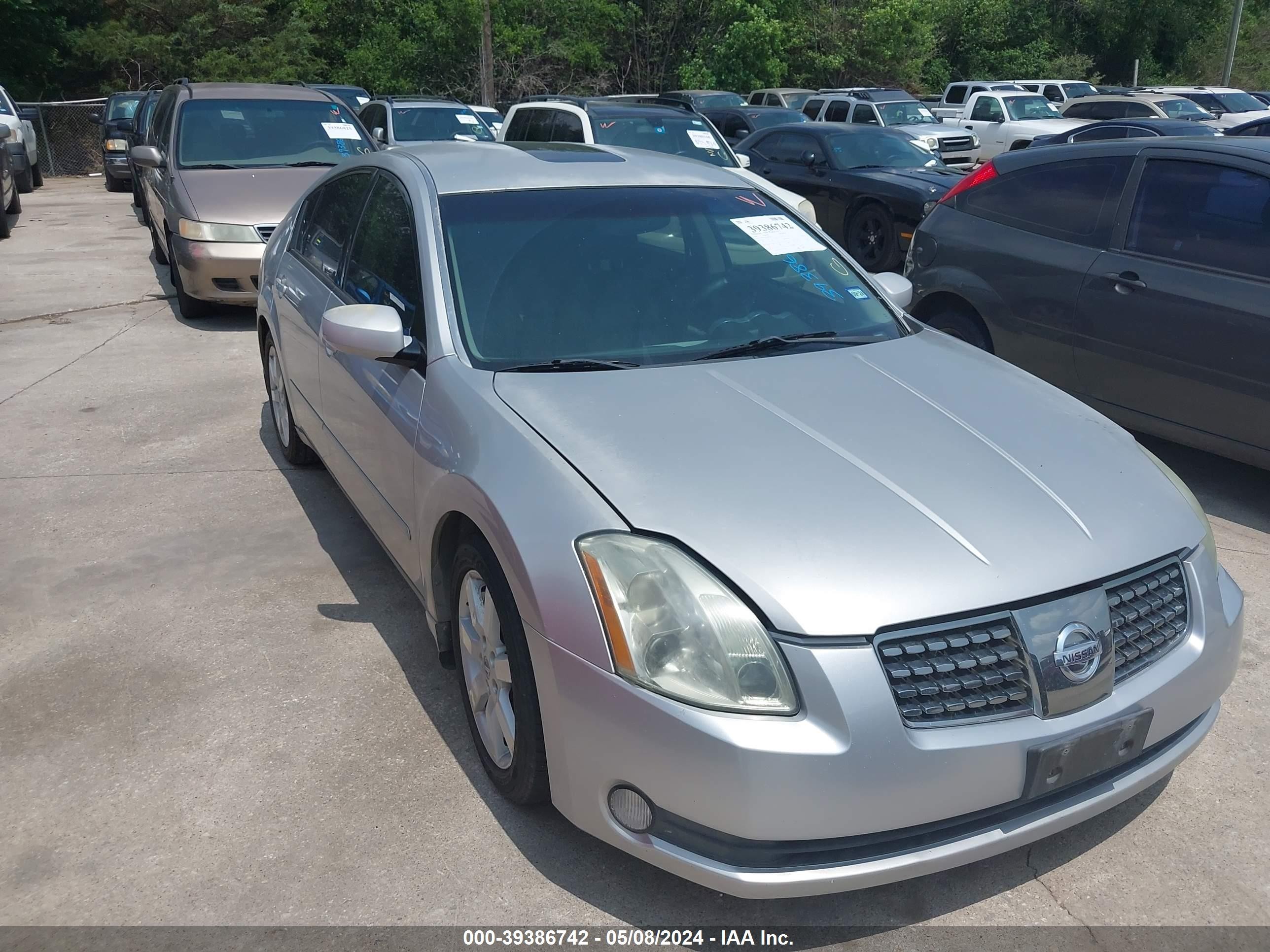 NISSAN MAXIMA 2005 1n4ba41e85c845679