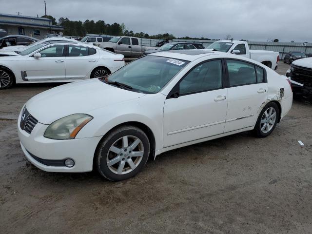 NISSAN MAXIMA 2005 1n4ba41e85c857170