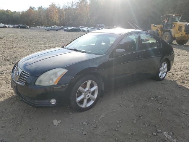 NISSAN MAXIMA 2006 1n4ba41e86c806592