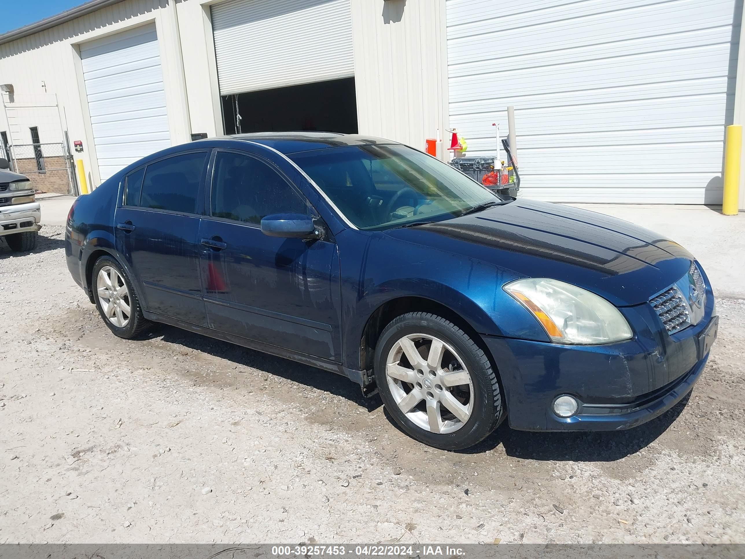 NISSAN MAXIMA 2006 1n4ba41e86c825076