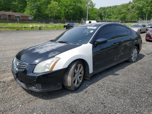 NISSAN MAXIMA 2008 1n4ba41e88c835237