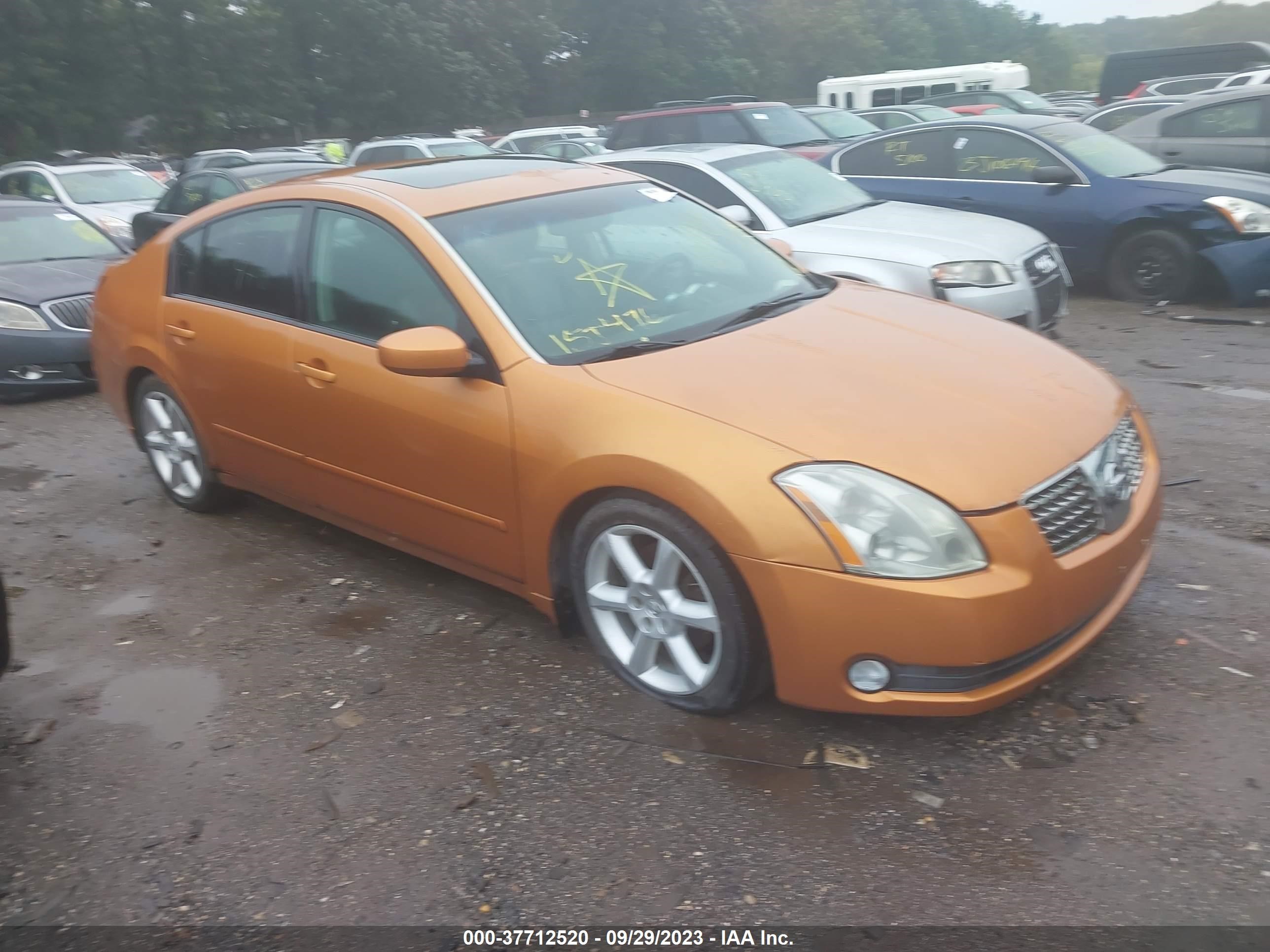 NISSAN MAXIMA 2004 1n4ba41e94c811930