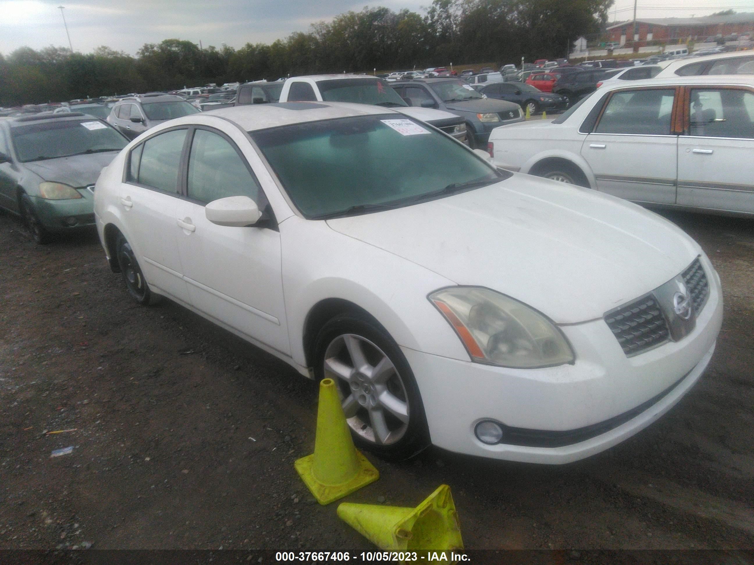 NISSAN MAXIMA 2004 1n4ba41e94c815377