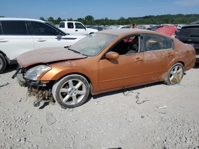 NISSAN MAXIMA 2004 1n4ba41e94c834043