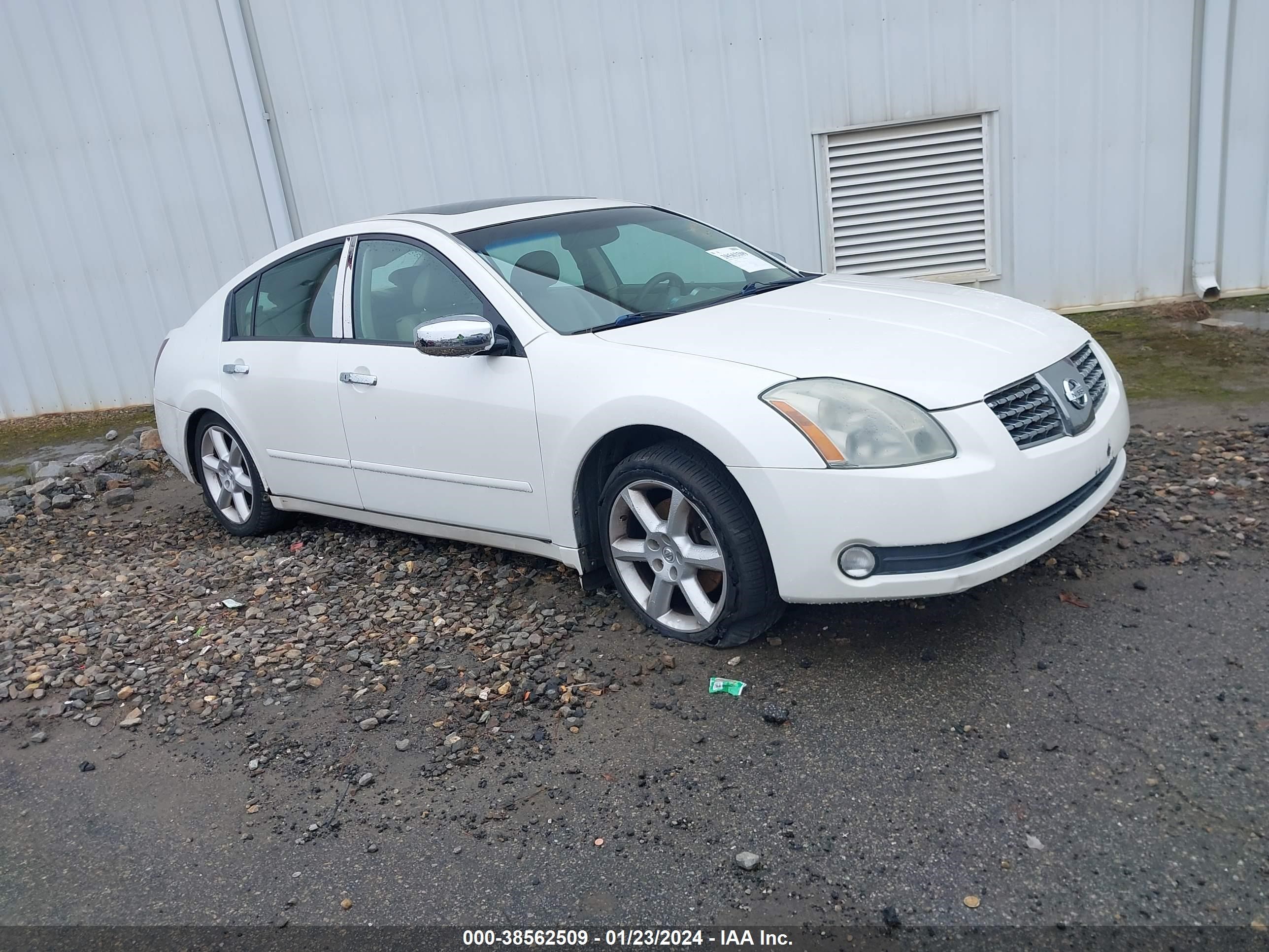 NISSAN MAXIMA 2004 1n4ba41e94c851604