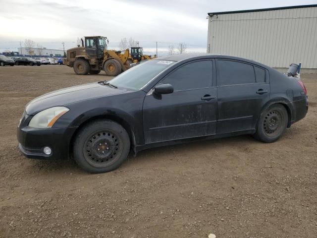 NISSAN MAXIMA 2004 1n4ba41e94c899247