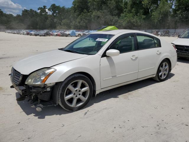 NISSAN MAXIMA 2005 1n4ba41e95c835890