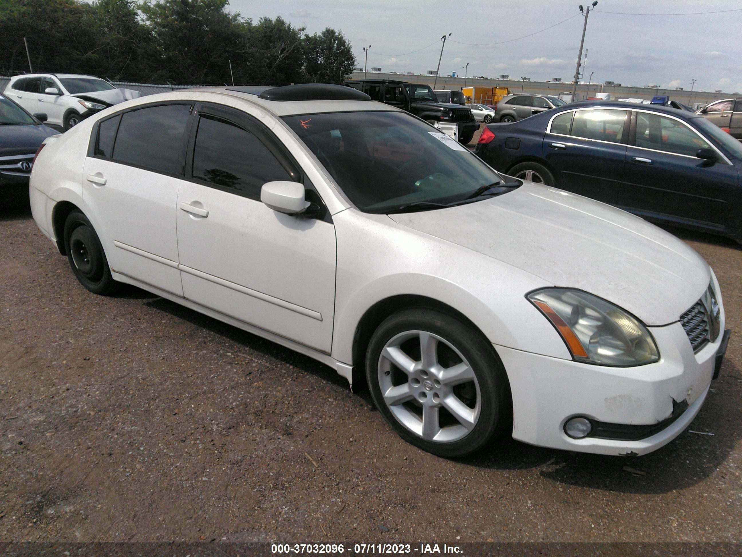 NISSAN MAXIMA 2005 1n4ba41e95c838238