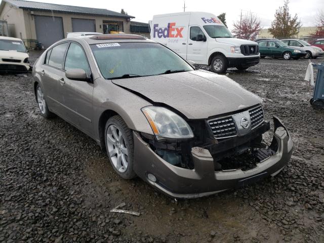 NISSAN MAXIMA SE 2005 1n4ba41e95c843262