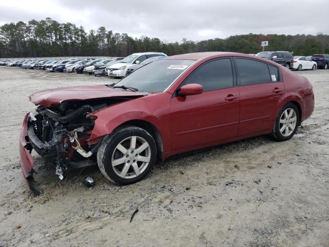 NISSAN MAXIMA 2005 1n4ba41e95c843603