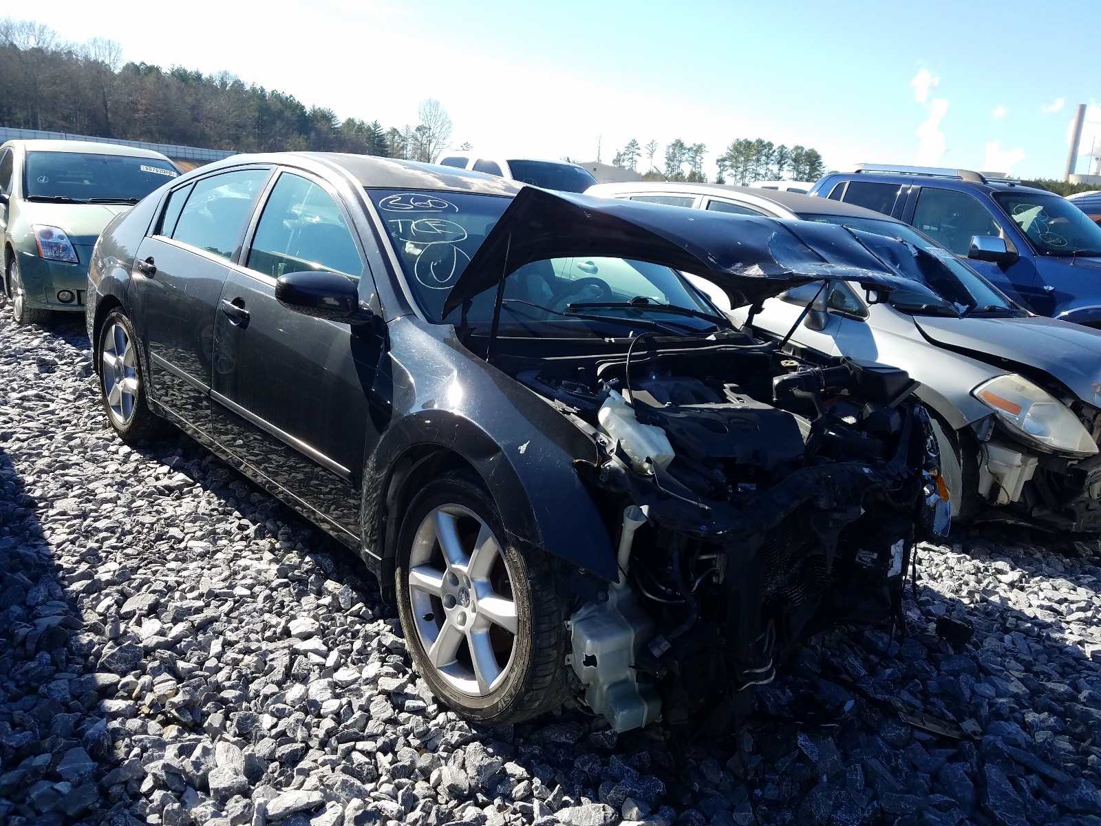 NISSAN MAXIMA SE 2006 1n4ba41e96c814670